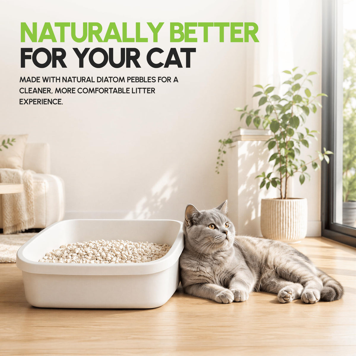 All Natural Unscented Cat Litter 8 lbs D247830