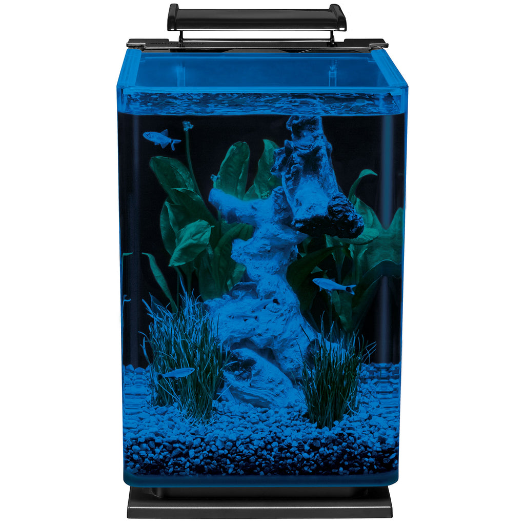 Glass LED Aquarium Kit, 5 Gallons, Hidden Filtration, Black B5266