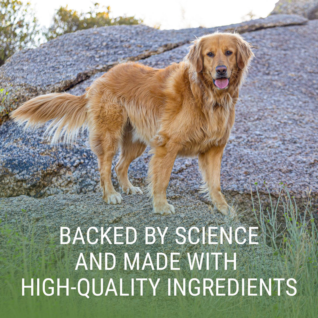 Liver & Brain Supplement for Large Dogs, 30ct Tablets Z8737