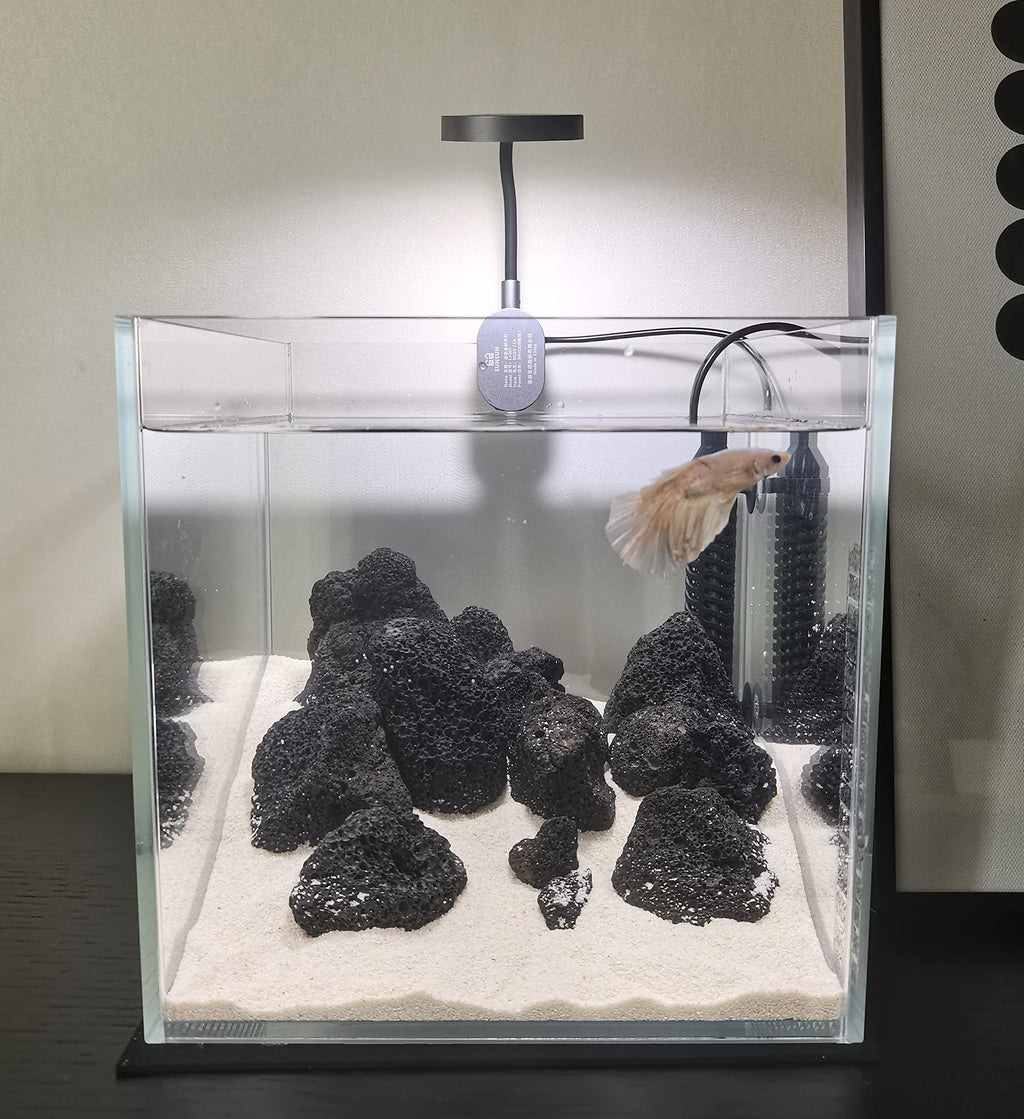 Small Nano Tall Rimless Glass Fish Tank 2 Gallon Q332
