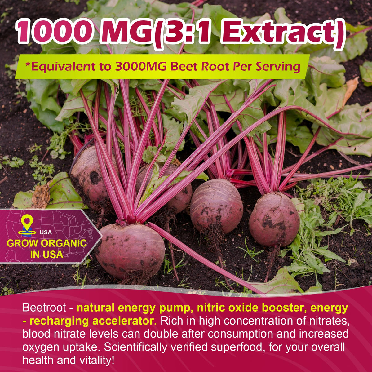 Beet Root Gummies with L-Citrulline & L-Arginine, Sugar Free K3516