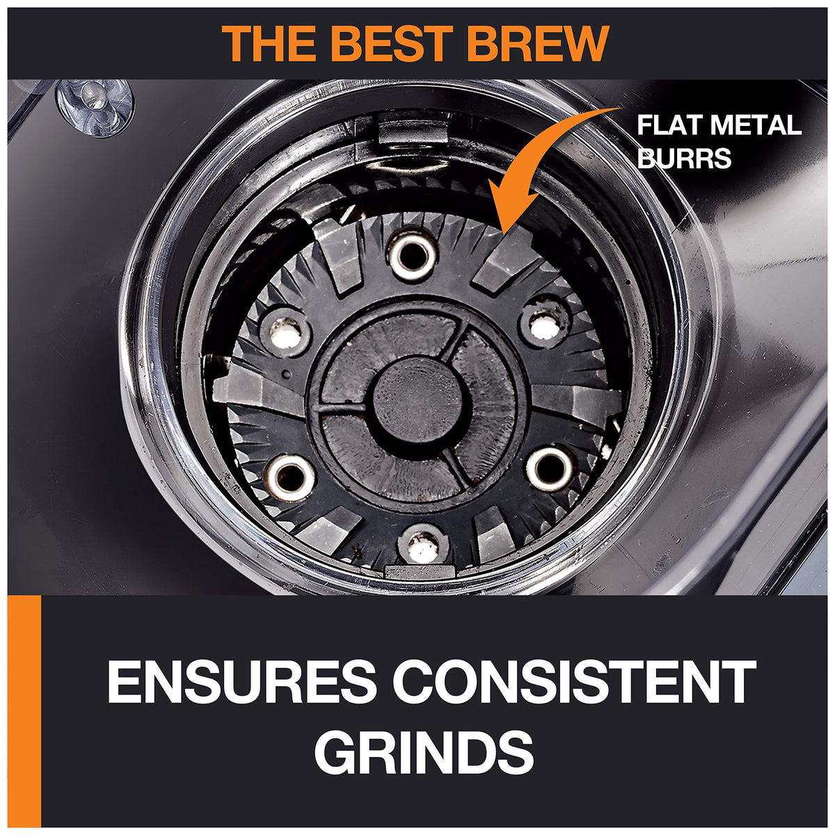 Burr Coffee Grinder 12 Settings 8 oz Stainless Steel C686